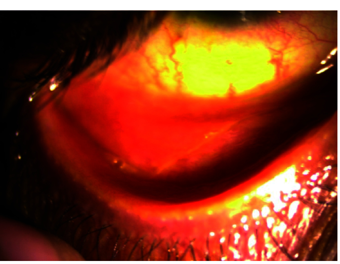 Abstract Image