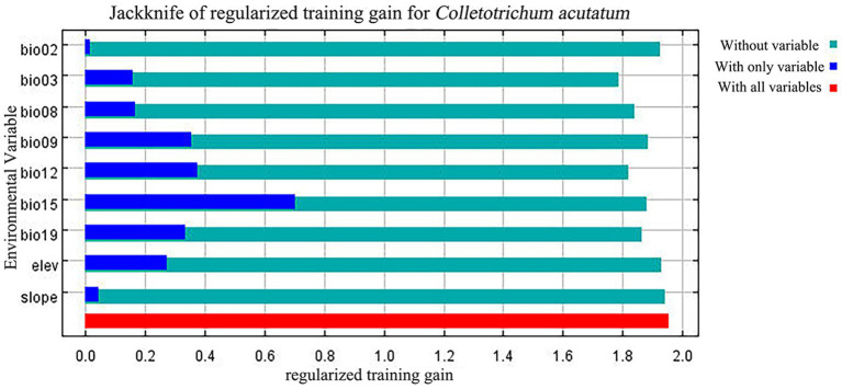 Abstract Image