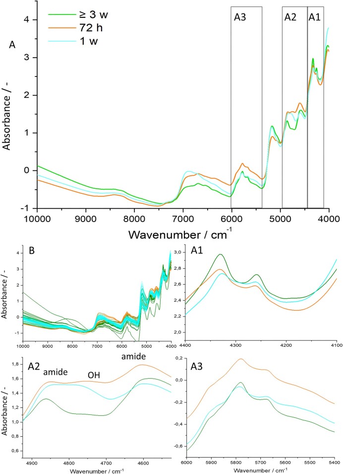 Exploring near-infrared spectroscopy and hyperspectral imaging as novel characterization methods for anaerobic gut fungi.