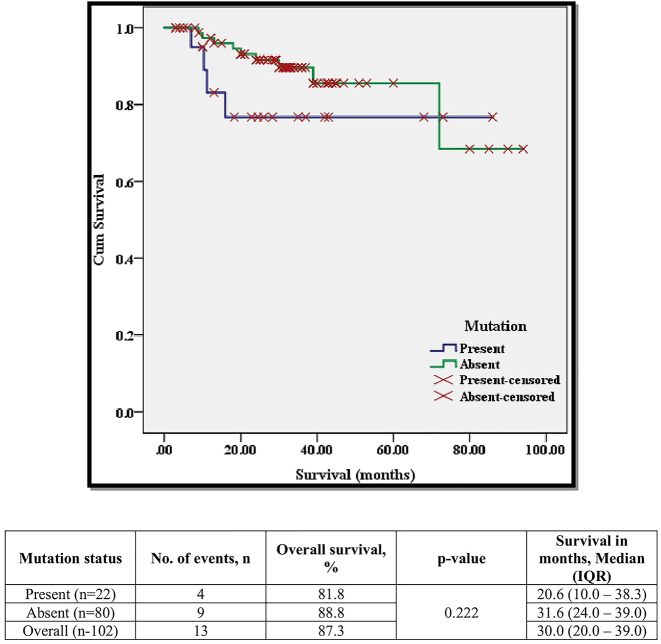 T315I - a gatekeeper point mutation and its impact on the prognosis of chronic myeloid leukemia.