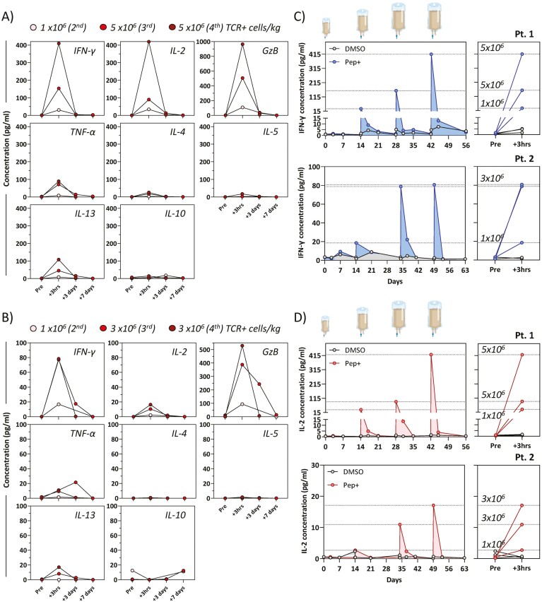 A rapid method to assess the <i>in vivo</i> multi-functionality of adoptively transferred engineered TCR T cells.
