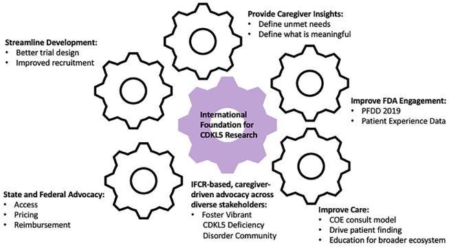 The small steps that lead to big impact: translating therapeutics from idea to reality for the CDKL5 deficiency disorder community.