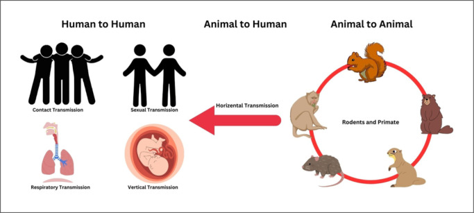 Monkeypox: A Comprehensive Review of Virology, Epidemiology, Transmission, Diagnosis, Prevention, Treatment, and Artificial Intelligence Applications.