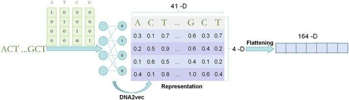 RiceSNP-BST: a deep learning framework for predicting biotic stress-associated SNPs in rice.