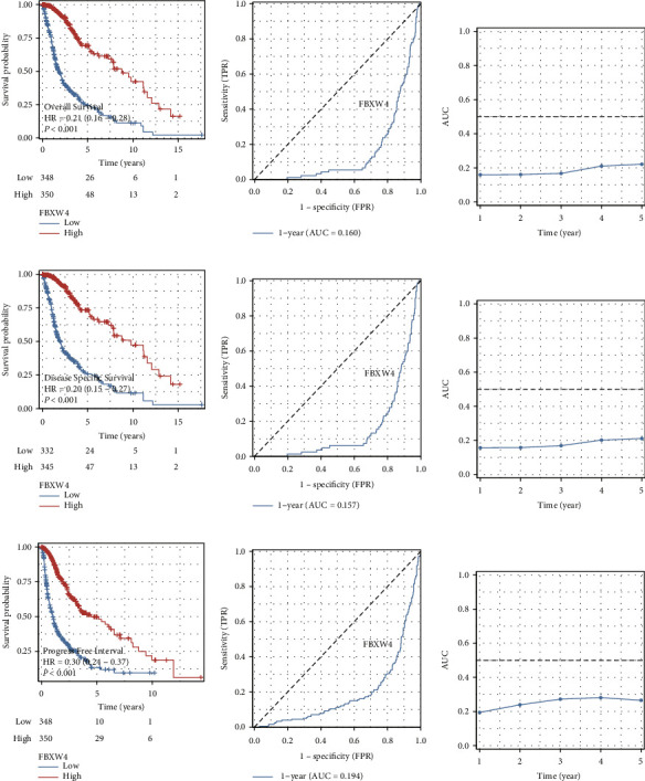 Pivotal Role of FBXW4 in Glioma Progression and Prognosis.