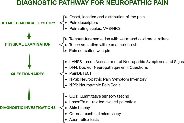 Neuropathic pain, antidepressant drugs, and inflammation: a narrative review.