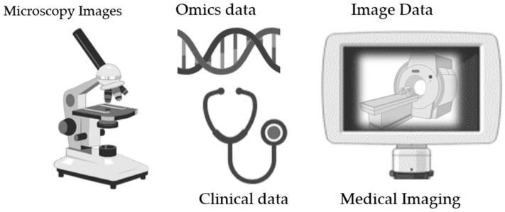 Data Management in Biobanking: Strategies, Challenges, and Future Directions.