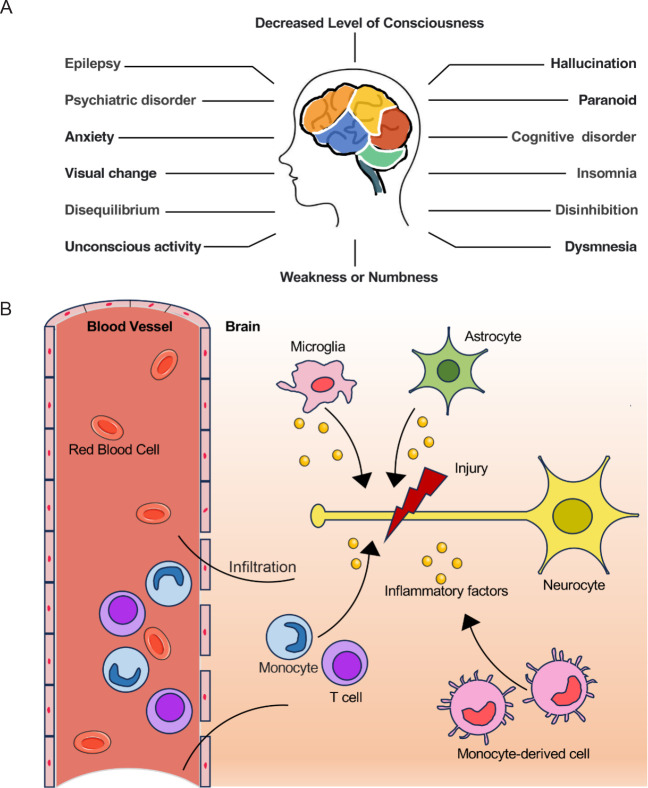 Injectable body temperature responsive hydrogel for encephalitis treatment via sustained release of nano-anti-inflammatory agents.