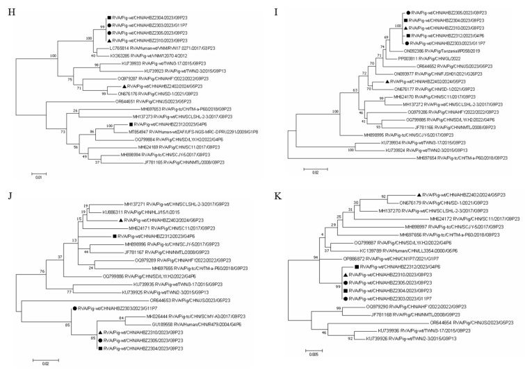 Isolation, Genomic Characterization and Evolution of Six Porcine Rotavirus A Strains in a Pig Farming Group.