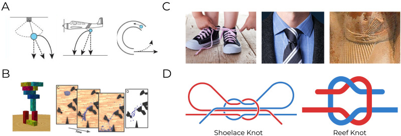 Tangled Physics: Knots Strain Intuitive Physical Reasoning.