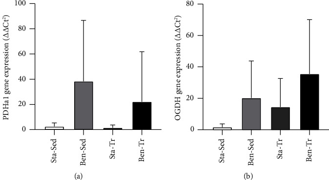 Benfotiamine Supplementation Increases Thiamine in Muscle of Endurance-Trained Mice and Affects the Energy Metabolism.
