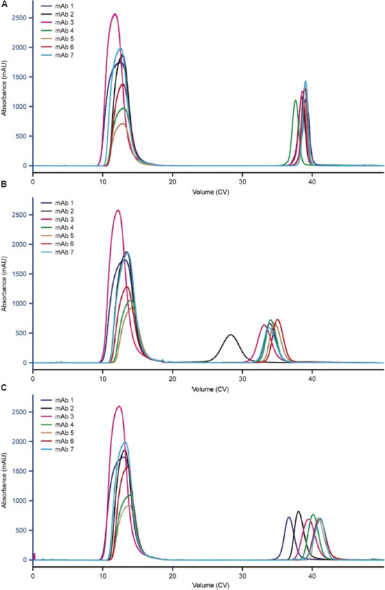 CH1-specific affinity resins possess the potential of separating heterodimer from homodimers in asymmetric bispecific antibody purification.