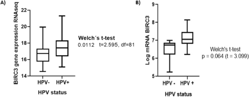 cIAP-2 protein is upregulated by human papillomavirus in oropharyngeal cancers: role in radioresistance in vitro.