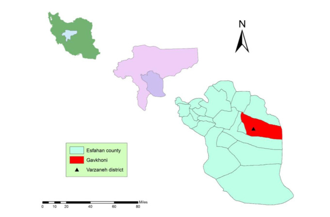 <i>Leishmania</i> spp Infection in Patients and Great Gerbils (<i>Rhombomys opimus</i>) in a High-Risk Focus of Zoonotic Cutaneous Leishmaniasis in Central Iran: A Microscopic and Molecular Survey.