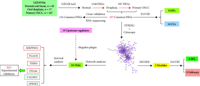 Malignant Transformation of Normal Oral Tissue to Dysplasia and Early Oral Squamous Cell Carcinoma: An <i>In Silico</i> Transcriptomics Approach.
