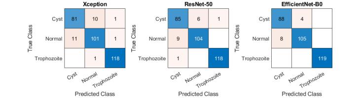 Automatic classification of <i>Giardia</i> infection from stool microscopic images using deep neural networks.