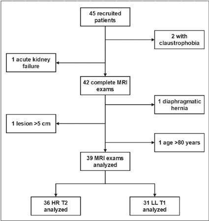 Look-Locker T1 relaxometry and high-resolution T2 in the evaluation of lung lesions: a single-center prospective study.