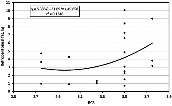 Association between body condition score and abdominal fat assessed by ultrasound in Jersey cows.