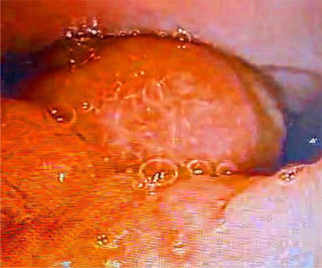 Abstract Image