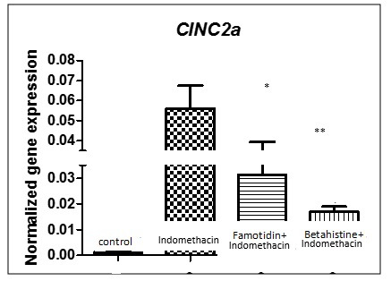Gastroprotective Effects of Betahistine Against an Indomethacin-Induced Gastric Mucosal Ulcer in Rats: The Role of CINC-2α Gene.