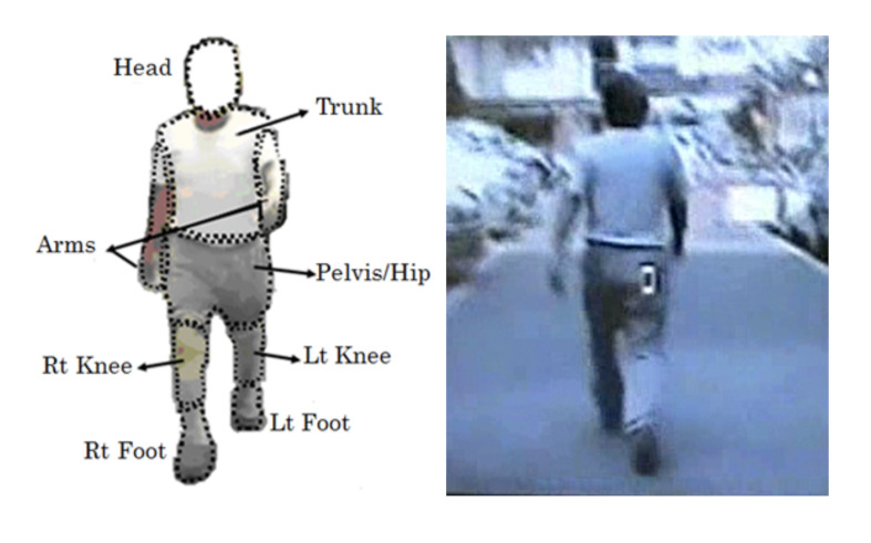 The level of skills involved in an observation-based gait analysis.