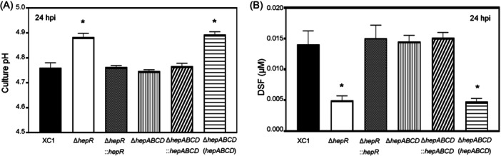 The phytopathogen <i>Xanthomonas campestris</i> senses and effluxes salicylic acid via a sensor HepR and an RND family efflux pump to promote virulence in host plants.