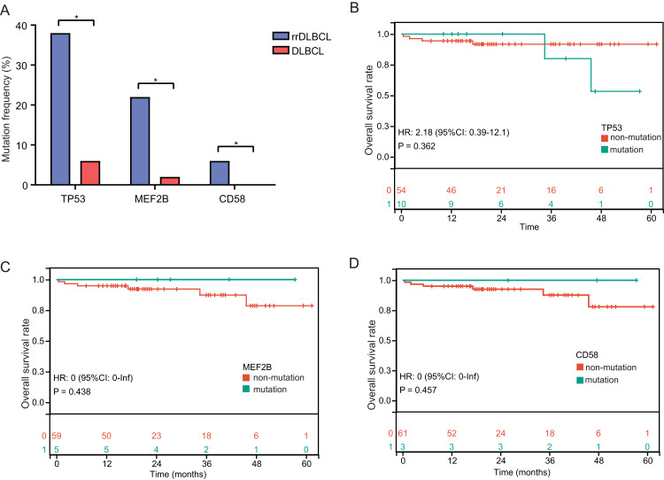 Specific Mutation Predict Relapse/Refractory Diffuse Large B-Cell Lymphoma.