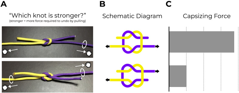 Tangled Physics: Knots Strain Intuitive Physical Reasoning.