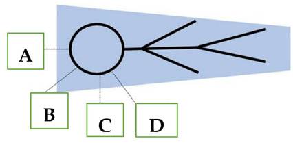 Abstract Image