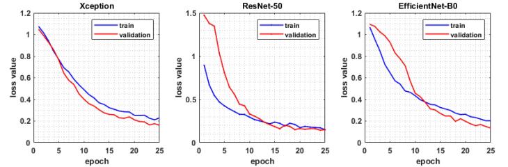 Automatic classification of <i>Giardia</i> infection from stool microscopic images using deep neural networks.
