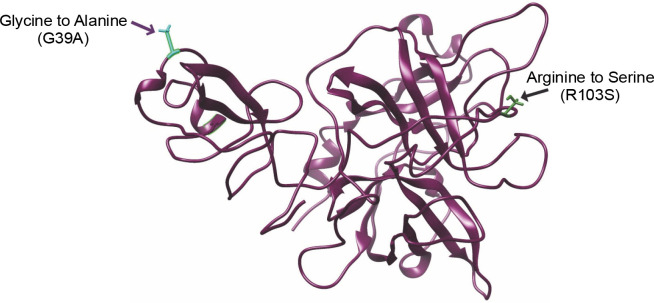 Abstract Image
