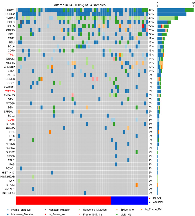 Specific Mutation Predict Relapse/Refractory Diffuse Large B-Cell Lymphoma.
