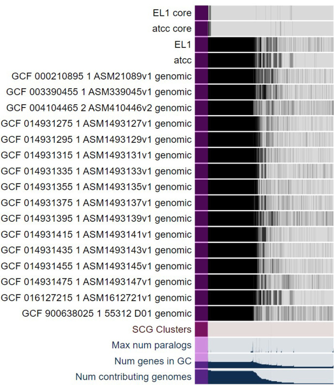 Abstract Image
