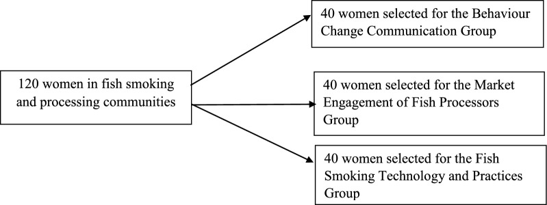 The costs of implementing anaemia reduction interventions among women fish processors in Ghana.