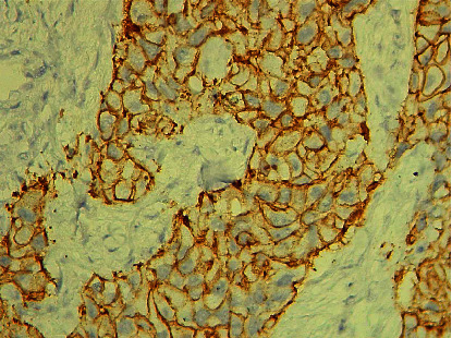 Abstract Image