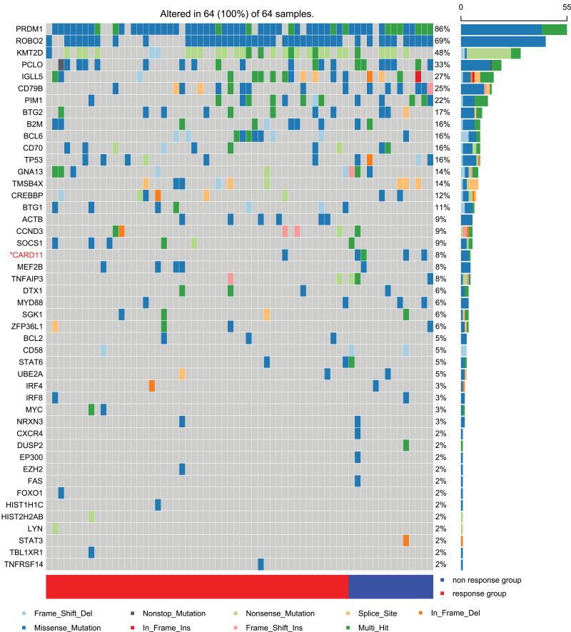 Specific Mutation Predict Relapse/Refractory Diffuse Large B-Cell Lymphoma.
