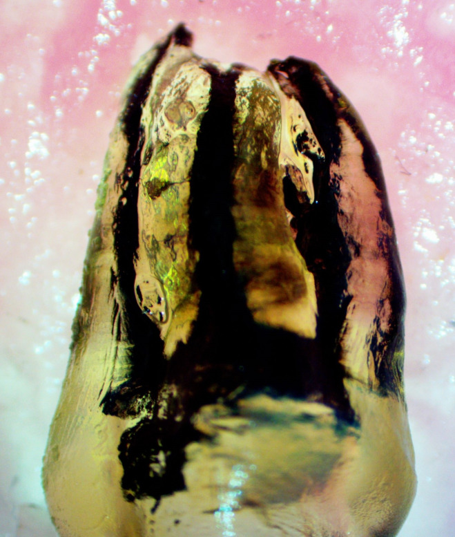 Abstract Image