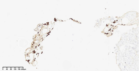Abstract Image