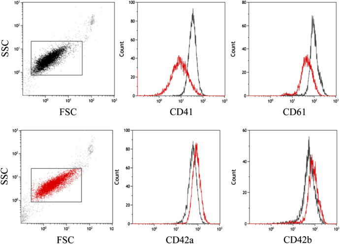 Case report: Comprehensive clinical, pathological and genetic investigations to decipher the background of cyclic thrombocytopenia.