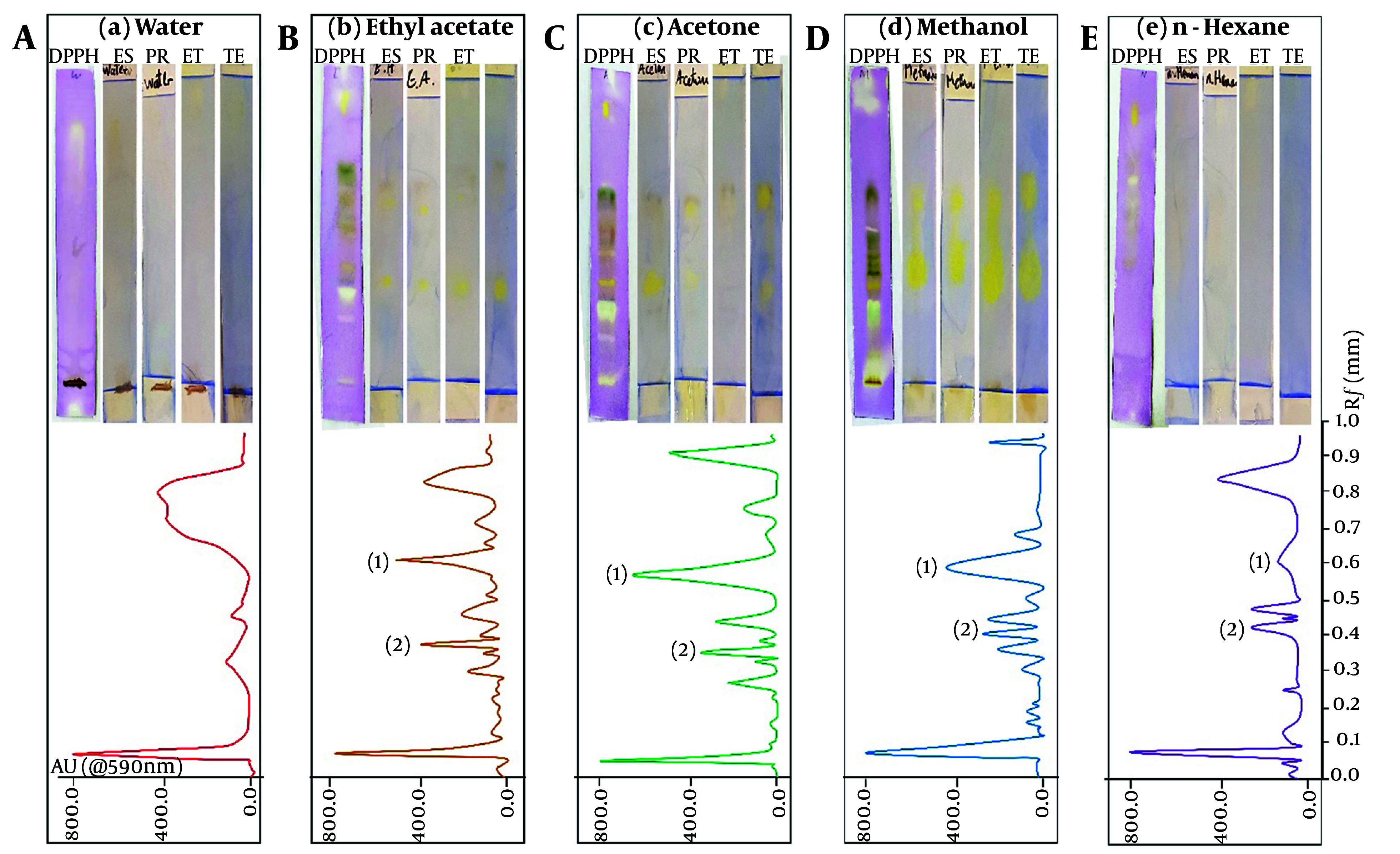 Inhibitory Effects of <i>Marrubium vulgare</i> L. Extract on the Female Hormones Based on Bioautography-HPTLC-MS.