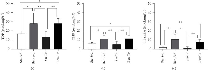 Benfotiamine Supplementation Increases Thiamine in Muscle of Endurance-Trained Mice and Affects the Energy Metabolism.