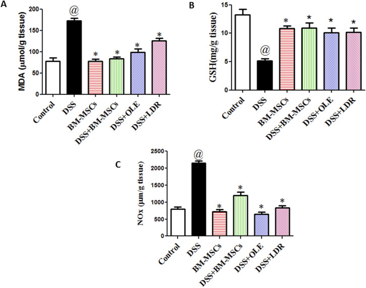 Role of Olive Leaf Extract, Mesenchymal Stem Cells or Low Radiation Dose in Alleviating Hepatic Injury in Rats.