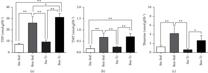 Benfotiamine Supplementation Increases Thiamine in Muscle of Endurance-Trained Mice and Affects the Energy Metabolism.