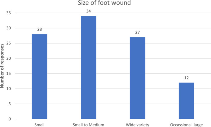 Determining confidence and anxiety of Australian community podiatrists in managing foot ulceration: A cross-sectional study.