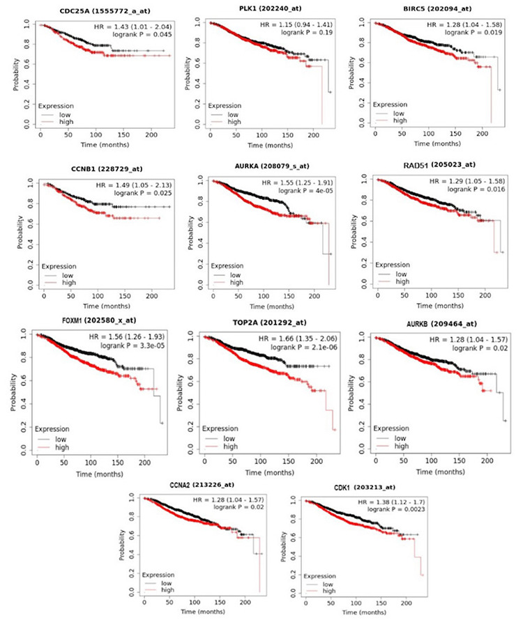 Overexpression of <i>CDC25A, AURKB</i>, and <i>TOP2A</i> Genes Could Be an Important Clue for Luminal A Breast Cancer.