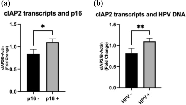 cIAP-2 protein is upregulated by human papillomavirus in oropharyngeal cancers: role in radioresistance in vitro.