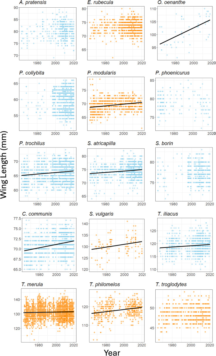 Differential changes in the morphology and fuel loads of obligatory and partial migrant passerines over half a century in Britain.