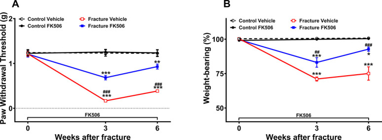 Effects of immunosuppression after limb fracture in mice on nociceptive, cognitive, and anxiety-related outcomes.