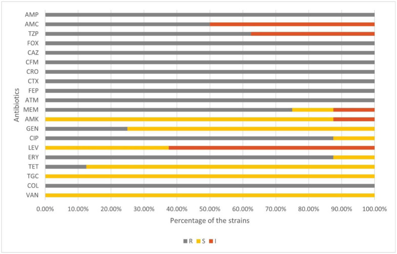 Deciphering the genomic character of the multidrug-resistant <i>Staphylococcus aureus</i> from Dhaka, Bangladesh.