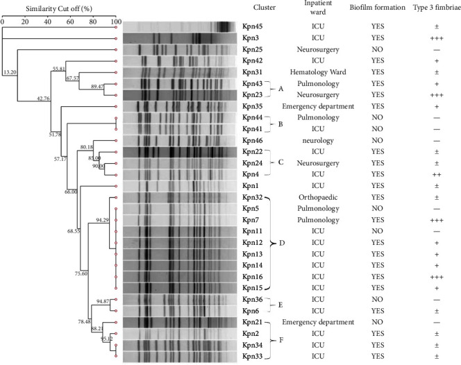 The Characteristic of Biofilm Formation in ESBL-Producing <i>K. pneumoniae</i> Isolates.